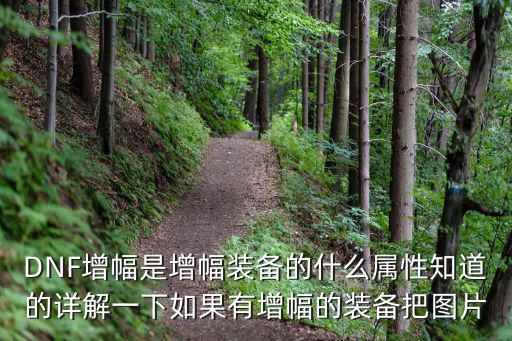 DNF增幅是增幅装备的什么属性知道的详解一下如果有增幅的装备把图片