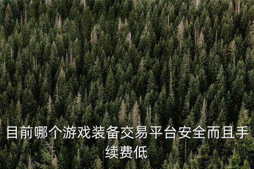 买卖游戏装备哪个靠谱，哪些游戏装备交易可靠