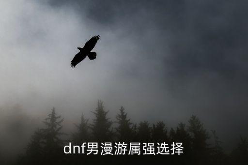 dnf男漫游属强选择