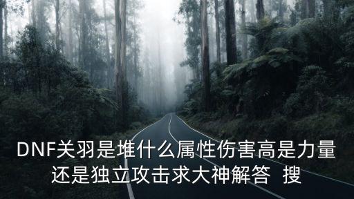 DNF关羽是堆什么属性伤害高是力量还是独立攻击求大神解答  搜