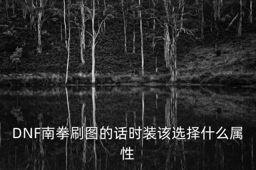 DNF南拳刷图的话时装该选择什么属性