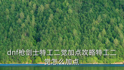 dnf枪剑士特工二觉加点攻略特工二觉怎么加点