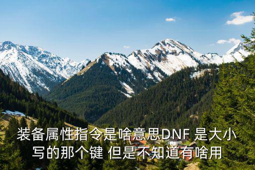 装备属性指令是啥意思DNF 是大小写的那个键 但是不知道有啥用