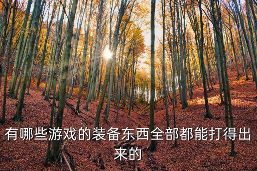 有哪些游戏的装备东西全部都能打得出来的