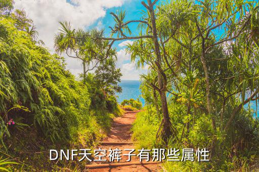 DNF天空裤子有那些属性