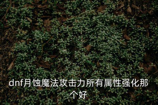 dnf月蚀魔法攻击力所有属性强化那个好