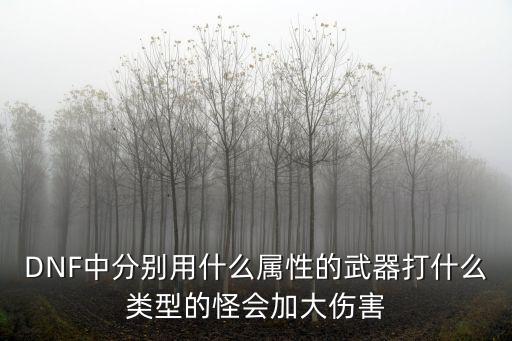 DNF中分别用什么属性的武器打什么类型的怪会加大伤害