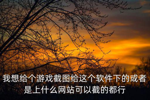 我想给个游戏截图给这个软件下的或者是上什么网站可以截的都行