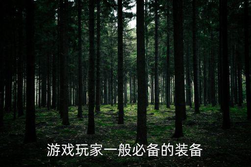 游戏玩家一般必备的装备