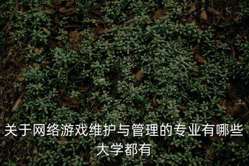 关于网络游戏维护与管理的专业有哪些大学都有