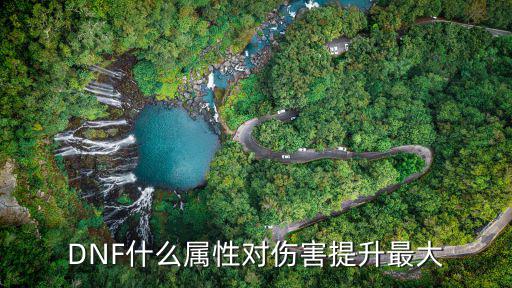 dnf什么词条属性最好，dnf什么4属性哪个最好