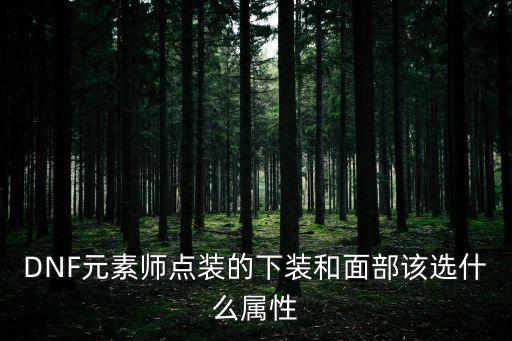 dnf脸部选什么属性，dnf时装属性怎么选