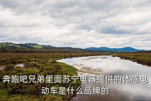 游戏装备电动车有哪些品牌，这款是什么牌子什么型号的电动车
