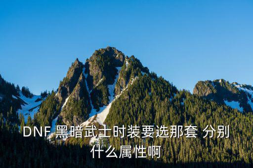 DNF 黑暗武士时装要选那套 分别什么属性啊