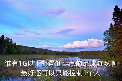 足球游戏装备有哪些，小学生足球比赛要准备什么