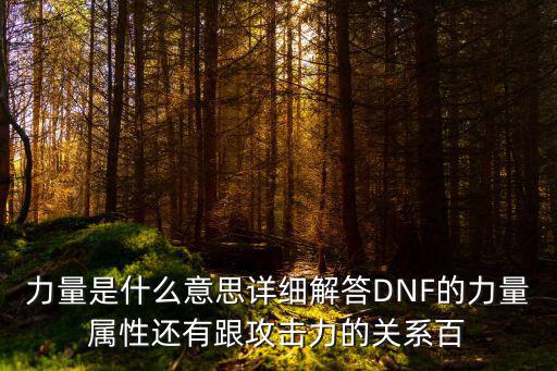力量是什么意思详细解答DNF的力量属性还有跟攻击力的关系百