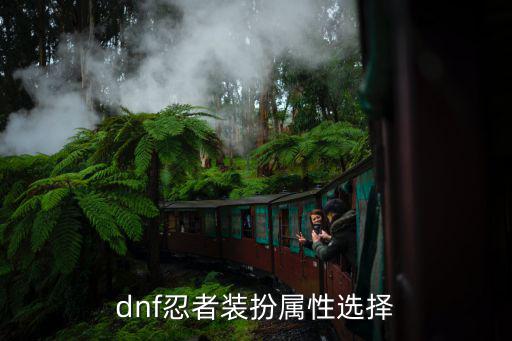 dnf忍者要什么属性，dnf忍者下装选什么属性好