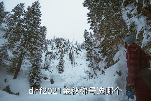 dnf称号选什么属性，dnf2021金秋称号选哪个