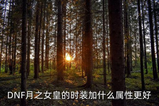 dnf月蚀吃什么属性，DNF月之女皇的时装加什么属性更好