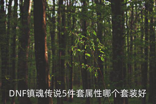 DNF镇魂传说5件套属性哪个套装好