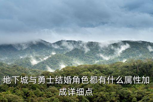 dnf 婚姻加什么属性，地下城与勇士结婚角色都有什么属性加成详细点