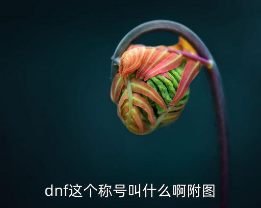 dnf这个称号叫什么啊附图