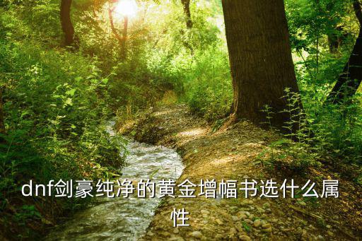 dnf金身增幅什么属性，DNF辅助金身时装选什么属性