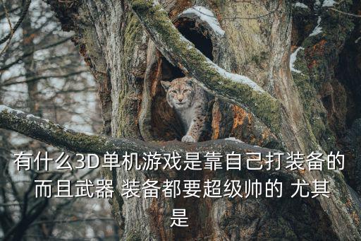 有什么3D单机游戏是靠自己打装备的 而且武器 装备都要超级帅的 尤其是