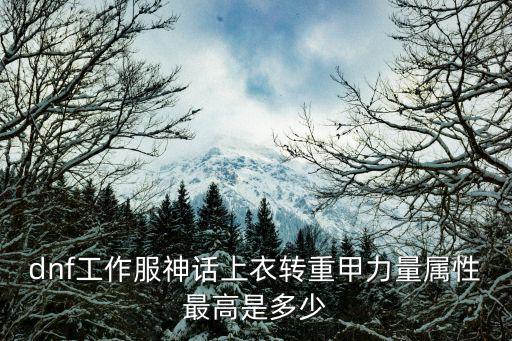 dnf工作服神话上衣转重甲力量属性最高是多少