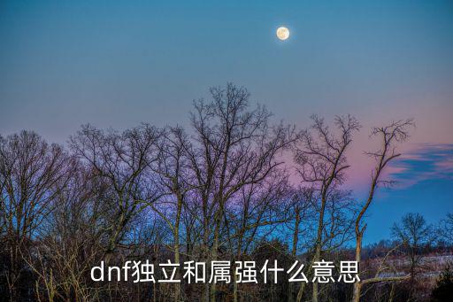 dnf独立和属强什么意思