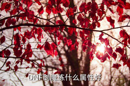 dnf剑魔适合什么属性，DNF剑魔最好练什么属性强化