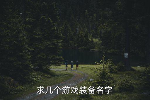 中文游戏装备有哪些名字，网络游戏天龙八部各装备的名字