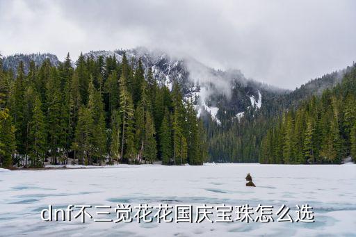 dnf花花选择什么属性，花花天空套技能如何选择