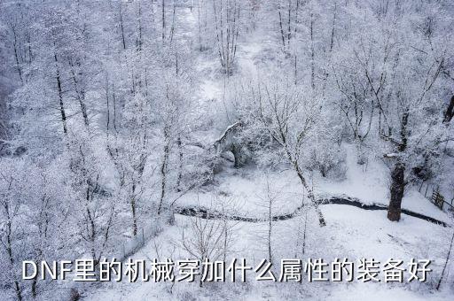 DNF里的机械穿加什么属性的装备好