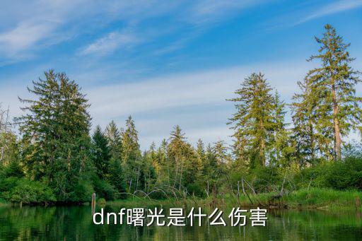 dnf曙光靠什么属性，dnf曙光是什么伤害