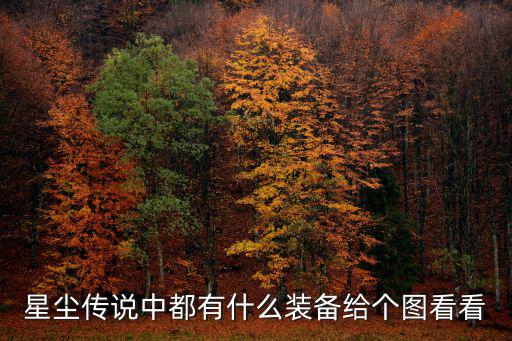 星尘传说中都有什么装备给个图看看