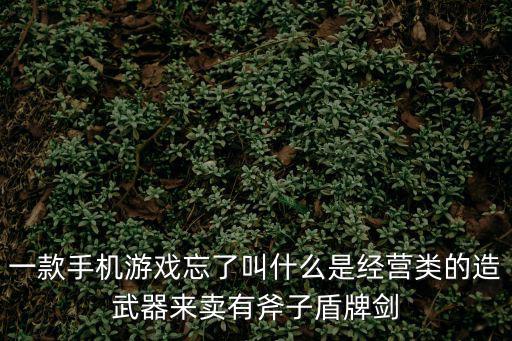 一款手机游戏忘了叫什么是经营类的造武器来卖有斧子盾牌剑
