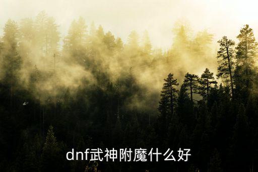 dnf武神附什么属性，dnf武神装备和武器一般附什么属性好