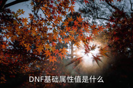 DNF基础属性值是什么