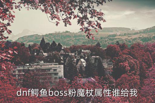 dnf鳄鱼带什么属性，dnf听说鳄鱼出领主粉重甲什么属性哪个部位