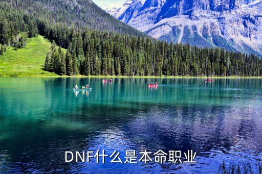 DNF什么是本命职业