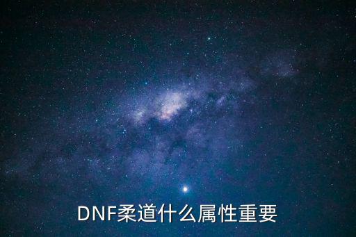 DNF柔道什么属性重要