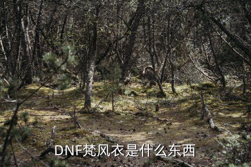 DNF梵风衣是什么东西