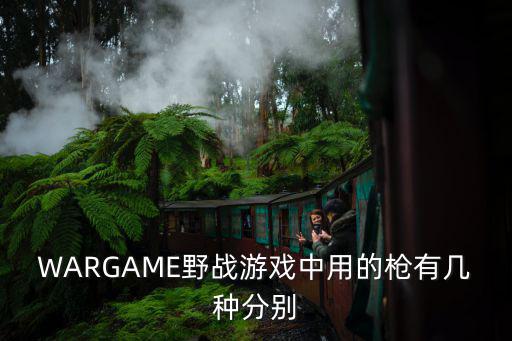 WARGAME野战游戏中用的枪有几种分别