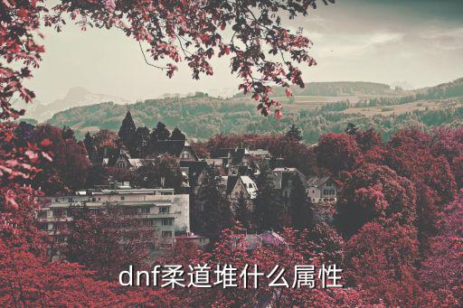 dnf柔道堆什么属性