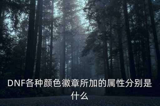 DNF各种颜色徽章所加的属性分别是什么