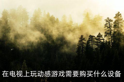 在电视上玩动感游戏需要购买什么设备
