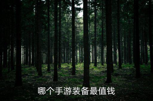 哪个手游装备最值钱