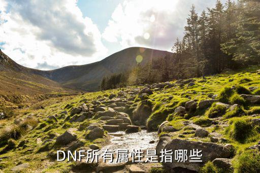 DNF本命属性是什么，DNF什么是本命职业