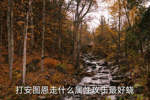 打安图恩走什么属性攻击最好蛲